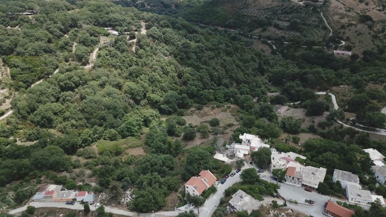 Irini΄S House Villa Alonai Exteriör bild