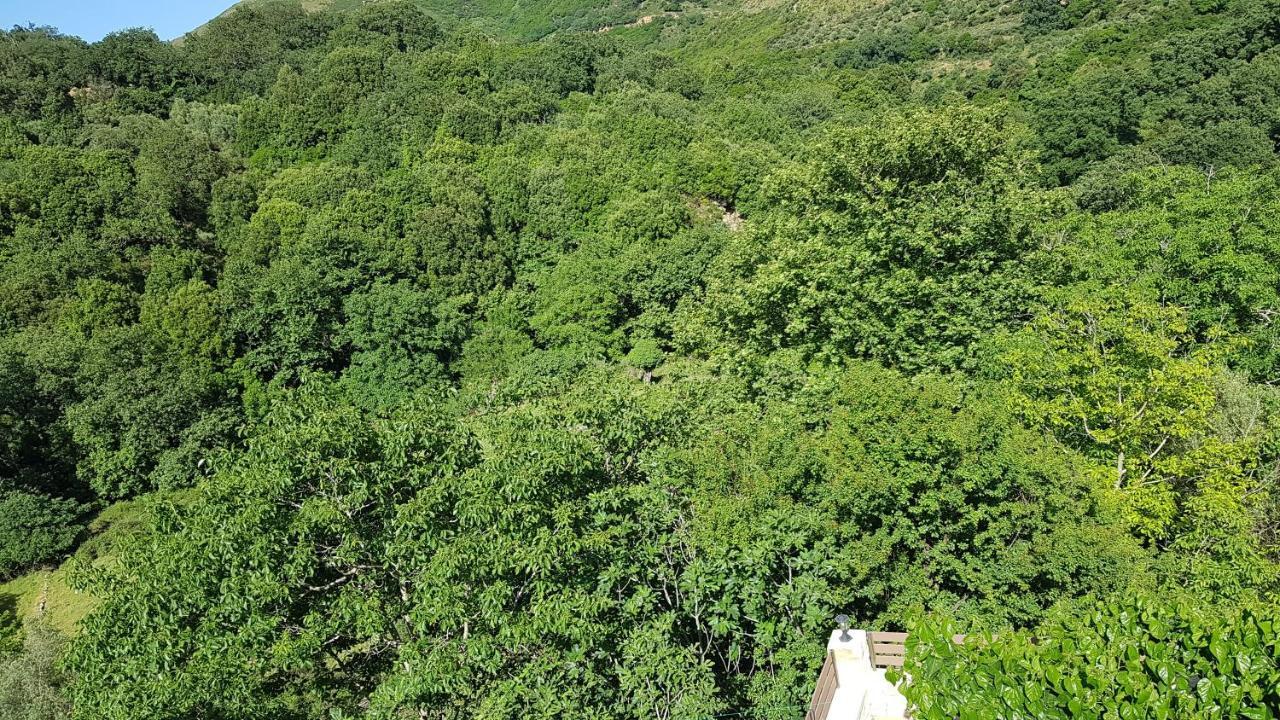 Irini΄S House Villa Alonai Exteriör bild